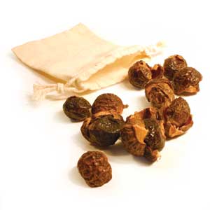 soapnuts