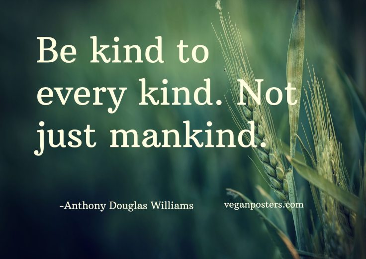 bekind