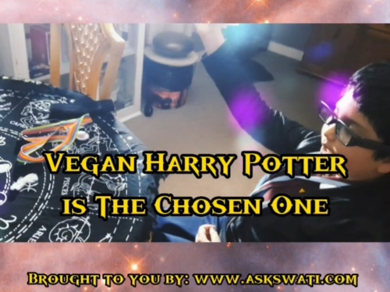 Amazing Vegan Harry Potter&nbsp;Spoof!