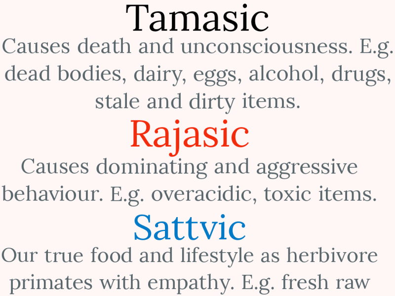 The Hidden Knowledge on Food and Lifestyle&nbsp;Skills