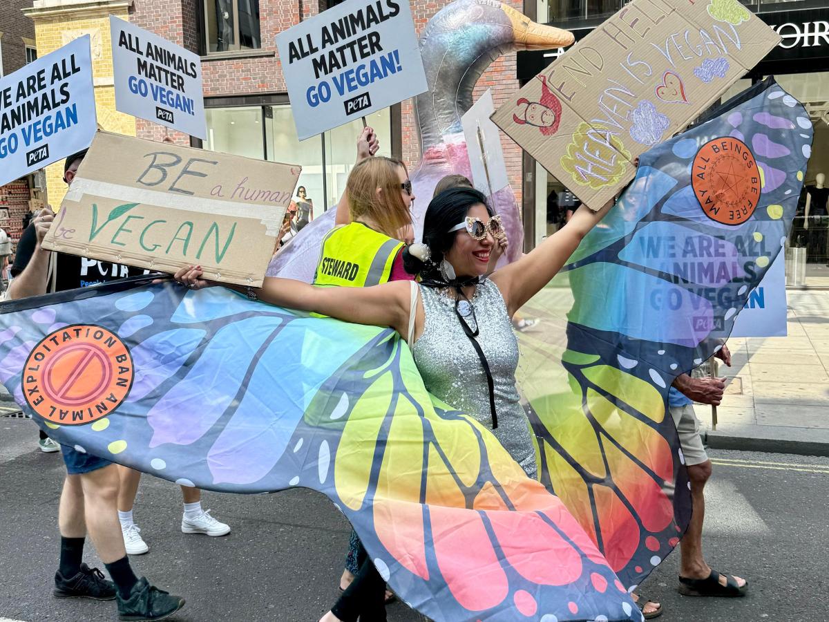 Should Vegans Perform Activism&nbsp;Too?