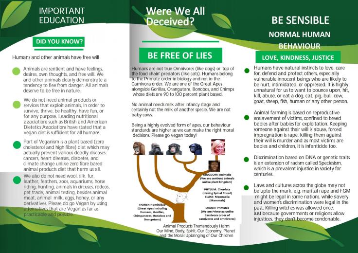 Veganism Leaflet pg2